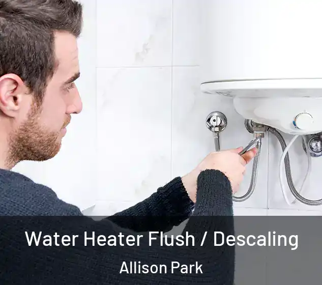  Water Heater Flush / Descaling Allison Park