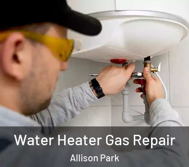  Water Heater Gas Repair Allison Park