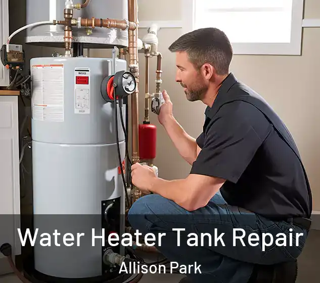  Water Heater Tank Repair Allison Park