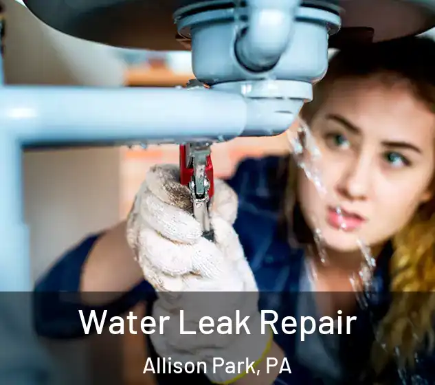  Water Leak Repair Allison Park, PA