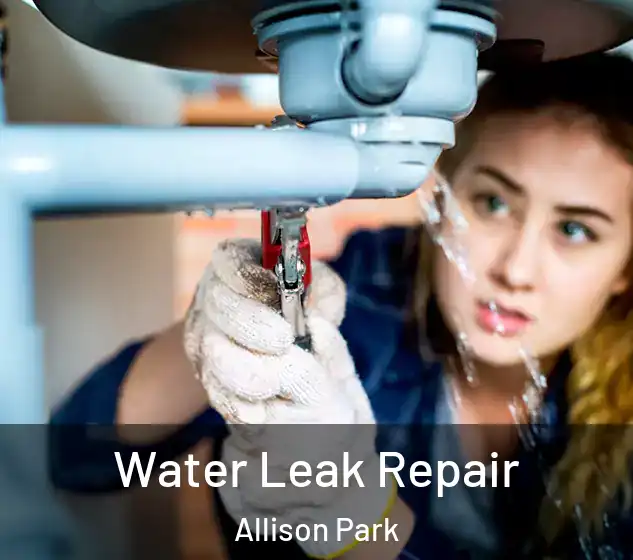  Water Leak Repair Allison Park