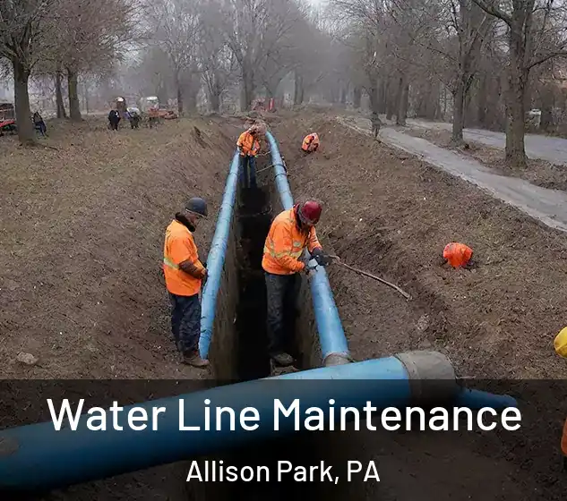  Water Line Maintenance Allison Park, PA