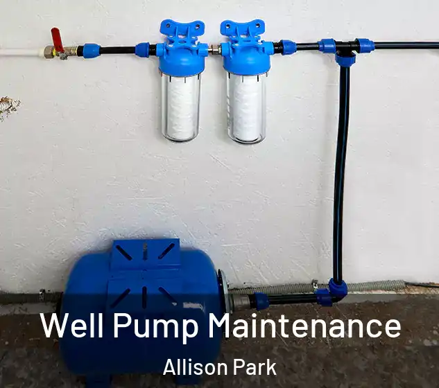  Well Pump Maintenance Allison Park