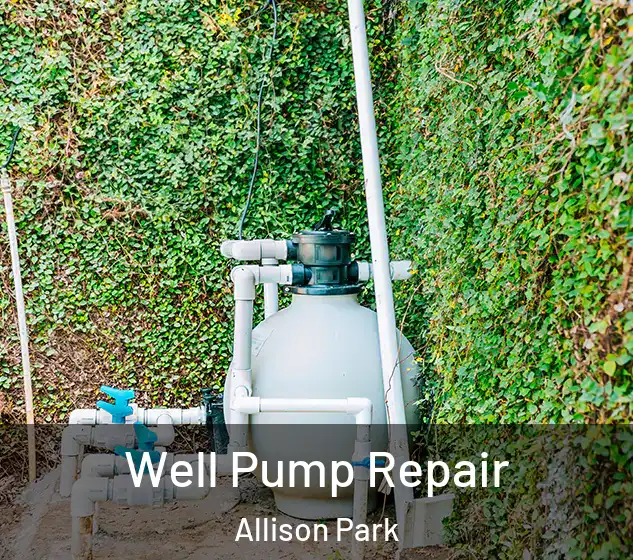  Well Pump Repair Allison Park