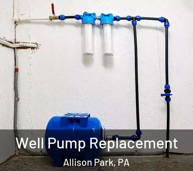  Well Pump Replacement Allison Park, PA